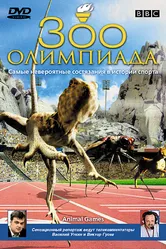 BBC: Зоо олимпиада 2004 постер