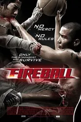 Файрбол 2009 постер