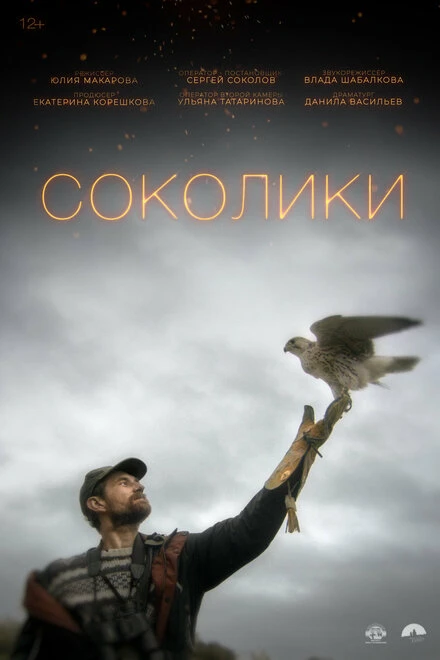 Постер Соколики 2022