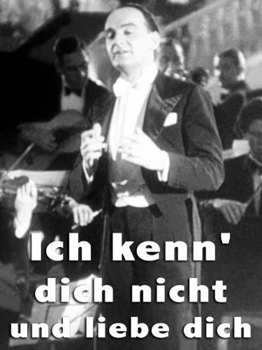 Постер Ich kenn' dich nicht und liebe dich