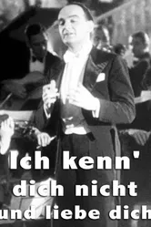 Ich kenn' dich nicht und liebe dich постер