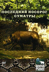 Постер Animal Planet: Последний носорог Суматры 2002
