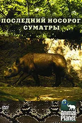 Animal Planet: Последний носорог Суматры 2002 постер