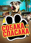 Собака-спасака 2016 постер