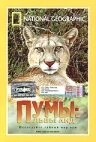 Постер Пумы: Львы Анд 1996