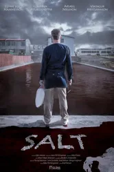 Salt 2014, Исландия постер