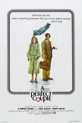Идеальная пара 1979 постер