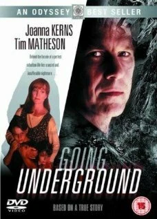 Постер Жизнь под чужим именем 1993
