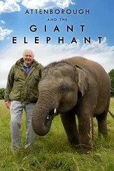 Аттенборо и гигантский слон 2017 постер