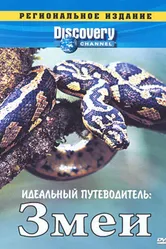 Discovery: Идеальный путеводитель. Змеи 1997 постер