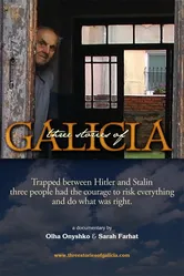 Три истории из Галичины 2010 постер