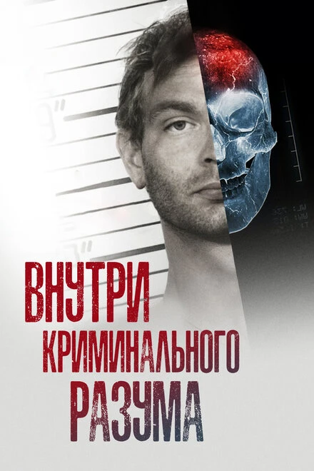Постер Внутри криминального разума 2017