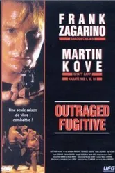 Разгневанный беглец 1995 постер