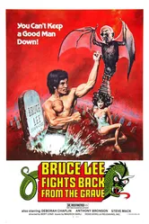 Брюс Ли возвращается 1976 постер
