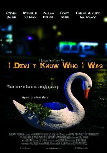 Постер I Didn't Know Who I Was