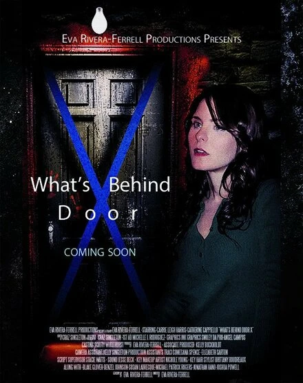 Постер What's Behind Door X