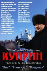 Куприн. Впотьмах 2014 постер
