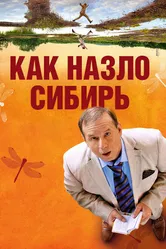 Как назло Сибирь 2012 постер