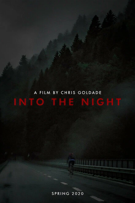 Постер Into the Night 2020