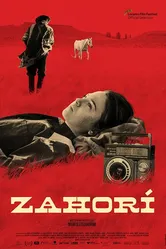 Zahorí постер