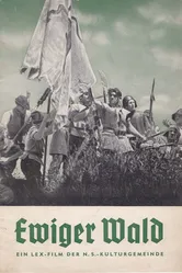 Вечный лес 1936 постер