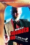 Постер Неуловимое чудо 2006