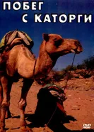 Побег с каторги 1979 постер