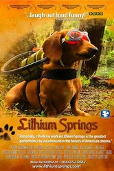 Lithium Springs постер
