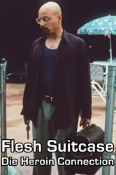 Flesh Suitcase постер