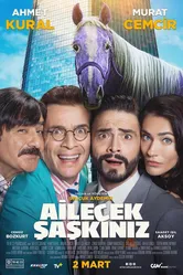 Безумная семейка 2018 постер