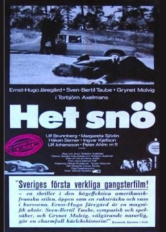 Постер Het snö