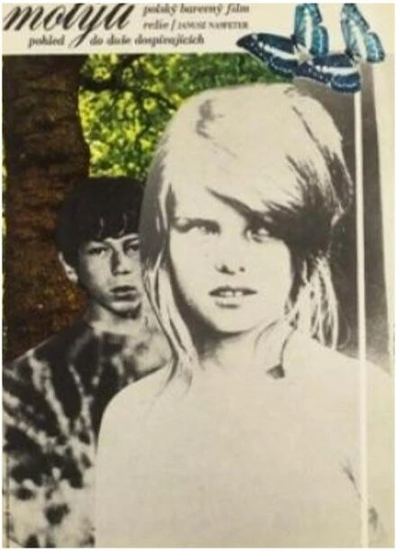 Постер Бабочка 1972, Польша