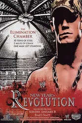WWE Новогодняя революция 2006 постер