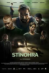 Игра теней 2022 постер