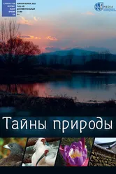 Тайны природы 2022 постер