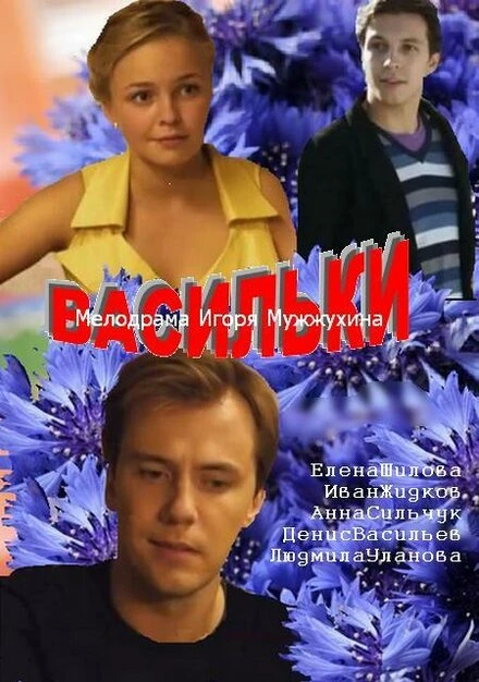Постер Васильки 2013