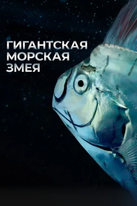 Постер Гигантская морская змея 2021