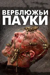 Верблюжьи пауки 2011 постер
