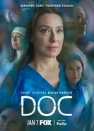 Док 2025 постер