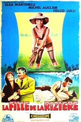 Рисовое поле 1956 постер