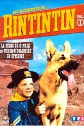 Приключения Рин Тин Тина 1954 постер