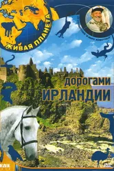 Живая планета 2007 постер