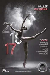 Большой балет: Прямой эфир из Москвы 2010 постер