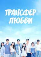 Трансфер любви постер