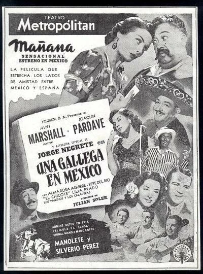 Постер Una gallega en México