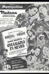 Una gallega en México постер