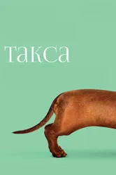 Такса 2015 постер
