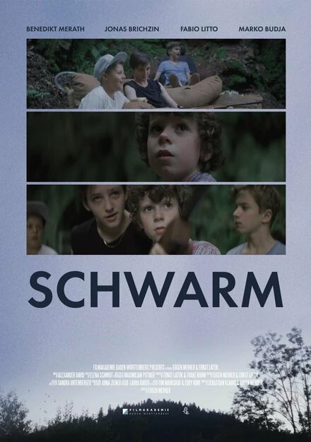 Постер Schwarm