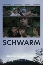Schwarm постер