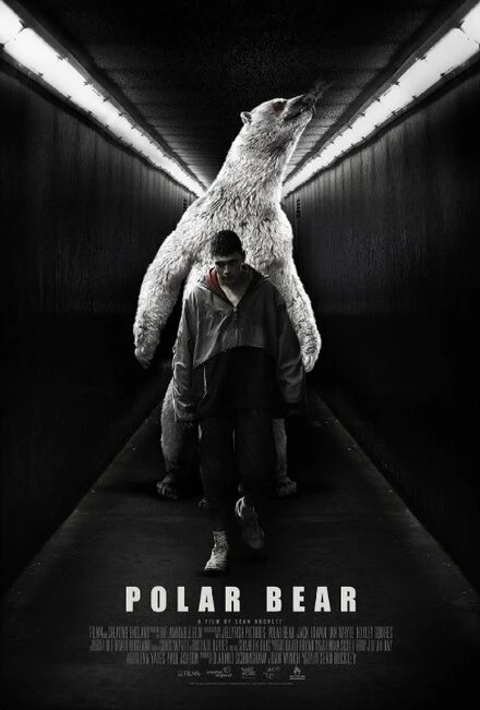 Постер Polar Bear